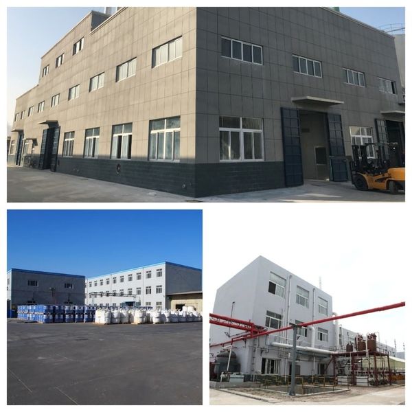中国 Shandong Jiuchong Chemical Co., Ltd. 会社概要